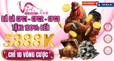 KHUYẾN MÃI khuyến mãi dành cho đá gà tại via casino