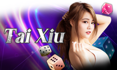 tài xỉu tại viacasino