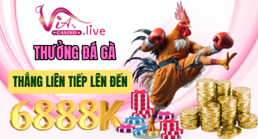 KHUYẾN MÃI thưởng thắng đá gà liên tiếp tại via casino